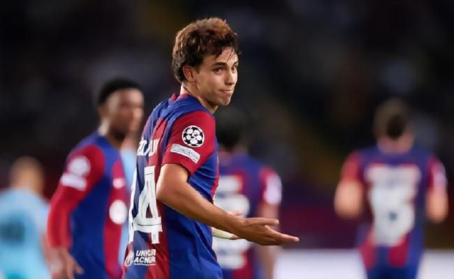 舔玉足vk