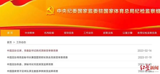 混血儿的继母