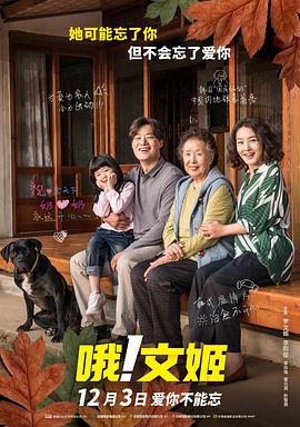 我是特种兵之火凤凰免费观看完整版