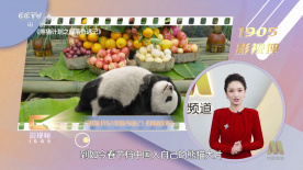 久久91av